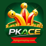 PKACE Game Official Logo