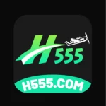 H555 Game