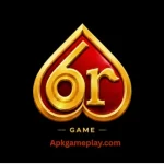 6R Game
